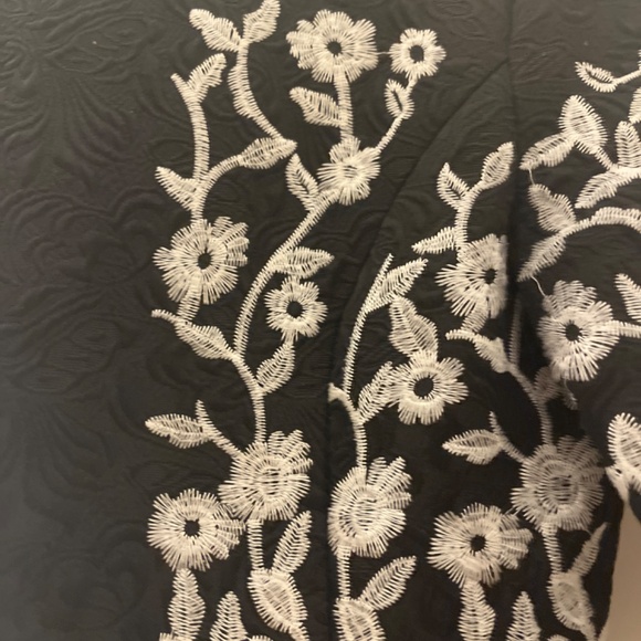 Zimmermann black with embroidered stitch empire dress - Picture 2 of 5